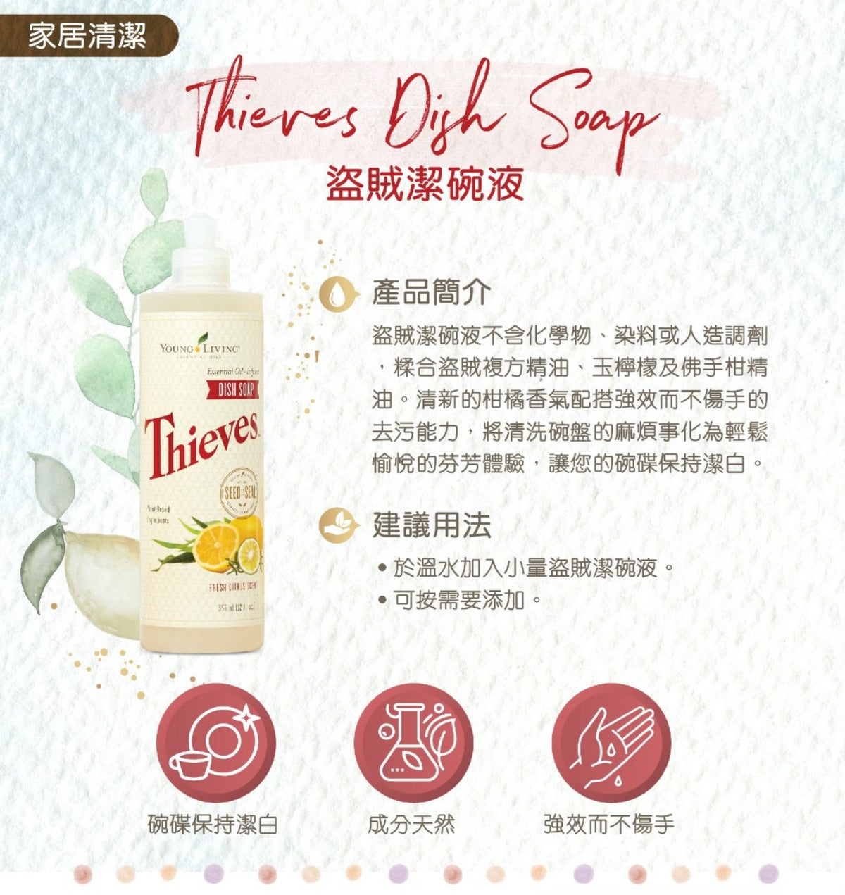 Thieves盜賊潔碗液