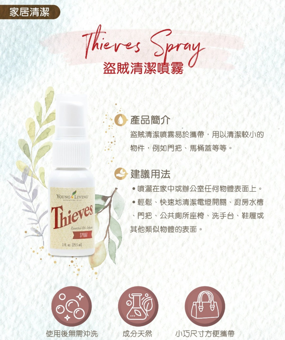 盜賊 (Thieves) 清潔噴霧