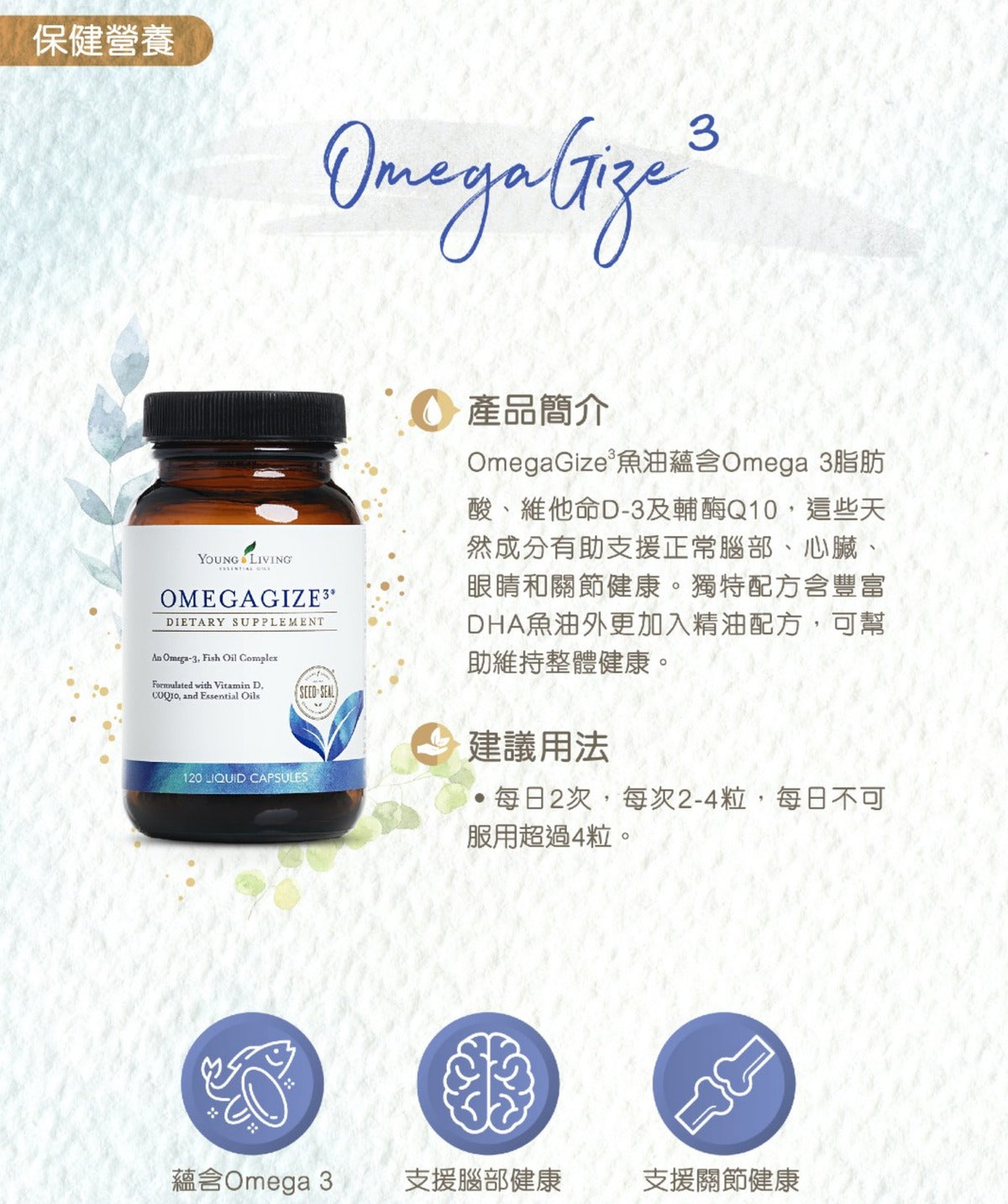 OmegaGize³
