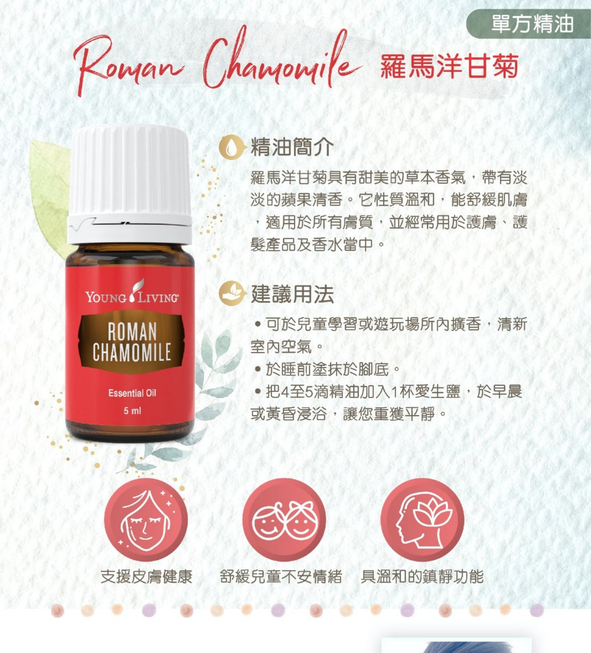 Roman Chamomile 羅馬洋甘菊精油5毫升