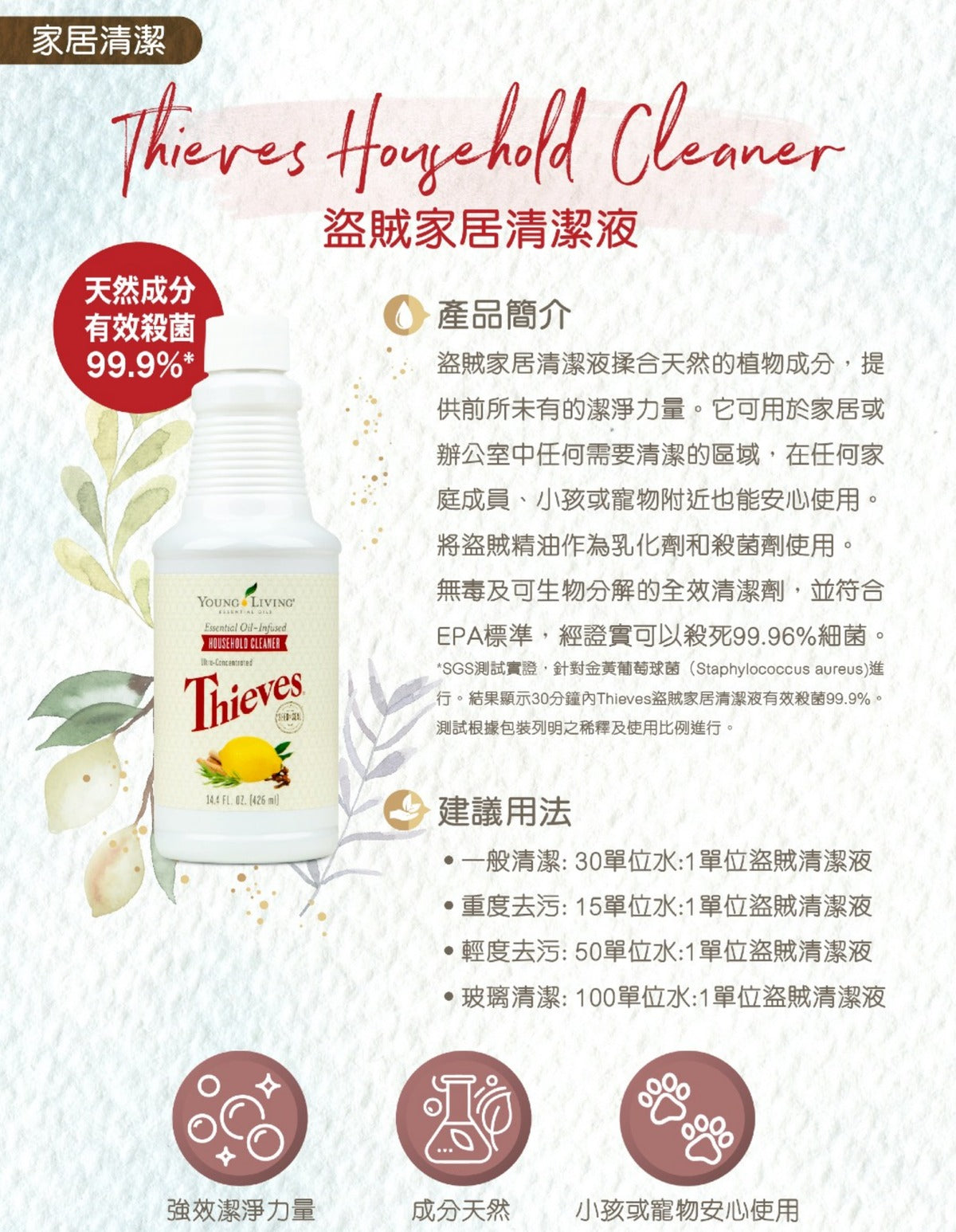 Thieves盜賊家居清潔液