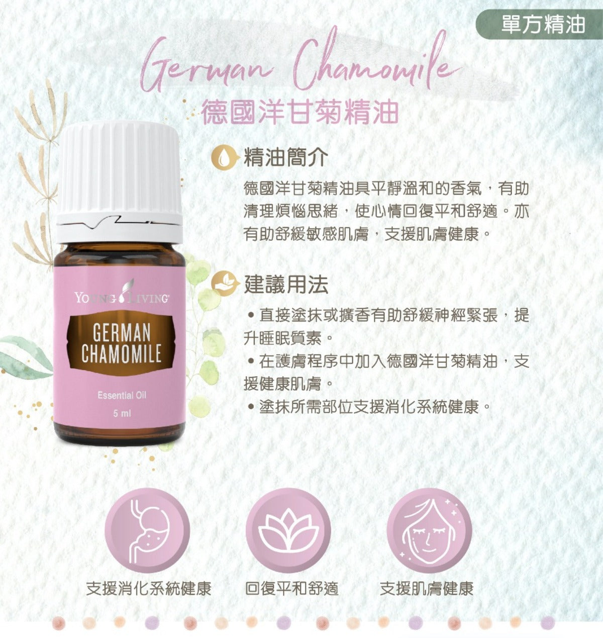 德國洋甘菊精油 German Chamomile 5毫升