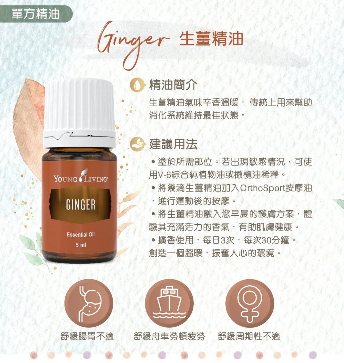 生薑精油 Ginger 5毫升