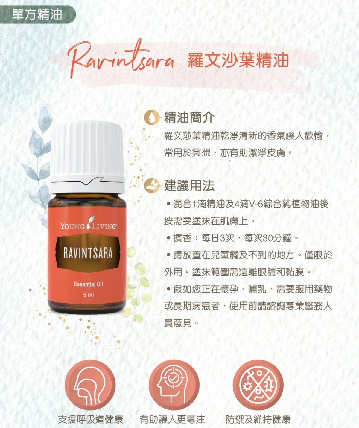 Ravintsara 羅文莎葉精油5毫升